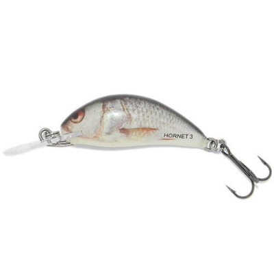 Salmo Hornet 2S Real Dace
