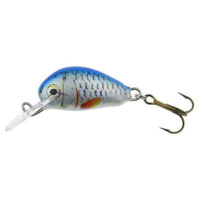 Dorado Alaska 2,5cm floating B