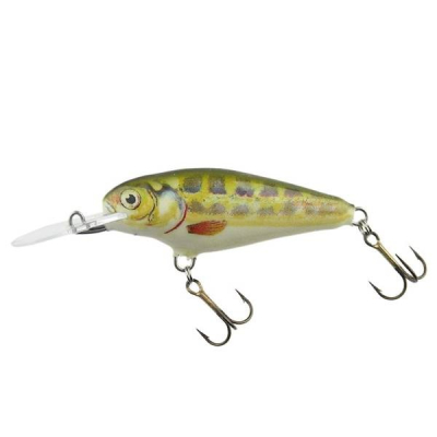 Dorado Invader 4cm MN