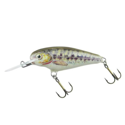 Dorado Invader 4cm NB potápivý