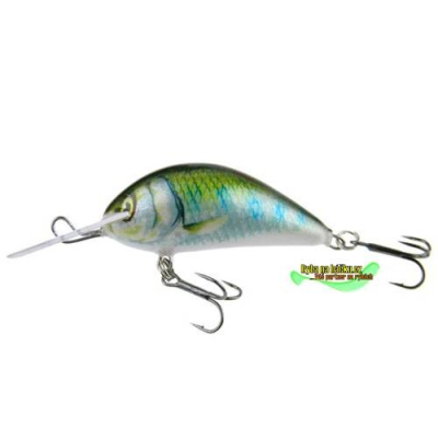 Kenart Shark 5cm GG plovoucí