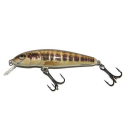 Salmo minnow 7F minnow