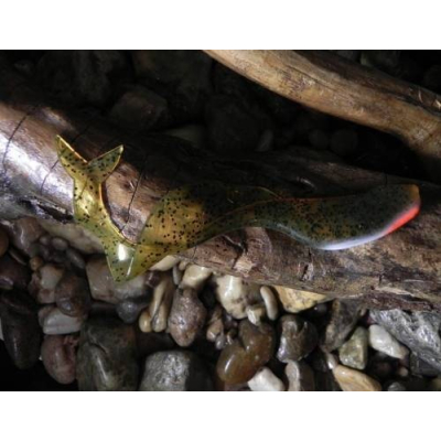 Twister Orka Marmaid 15cm BR