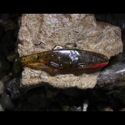 Ripper Orka Shad 10 BR