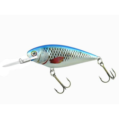 Dorado Invader 7 B floating