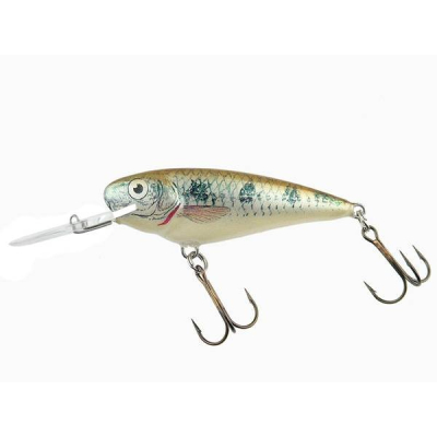 Dorado Invader 7 GO floating