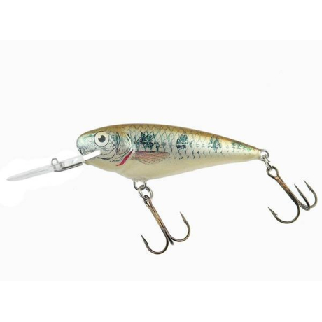 Dorado Invader 7 GO floating