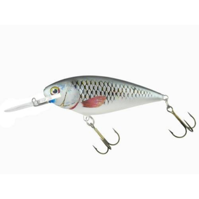 Dorado Invader 9cm S