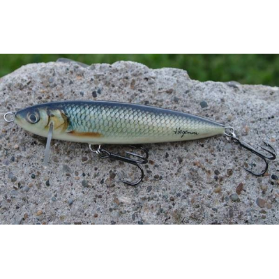 Hegemon flasher 12 jelec potápivý