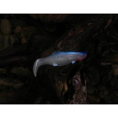 Ripper 0rka Shad 7 WBU