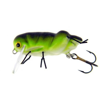 Microbait Luční koník