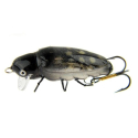 Wobler Microbait Beetle 28mm - Spotted
