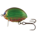 Salmo Lil`Bug 2cm BG2F May bug