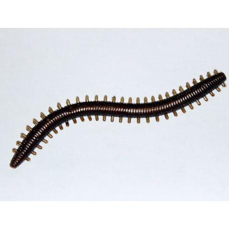 Monarch Dok Sandworm 12cm Brownie