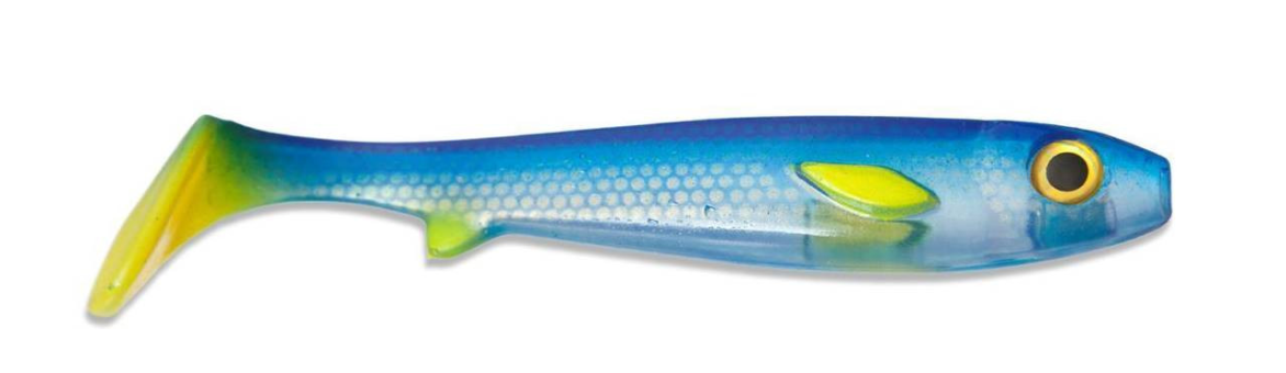 Edvin Johansson Flatnose Shad