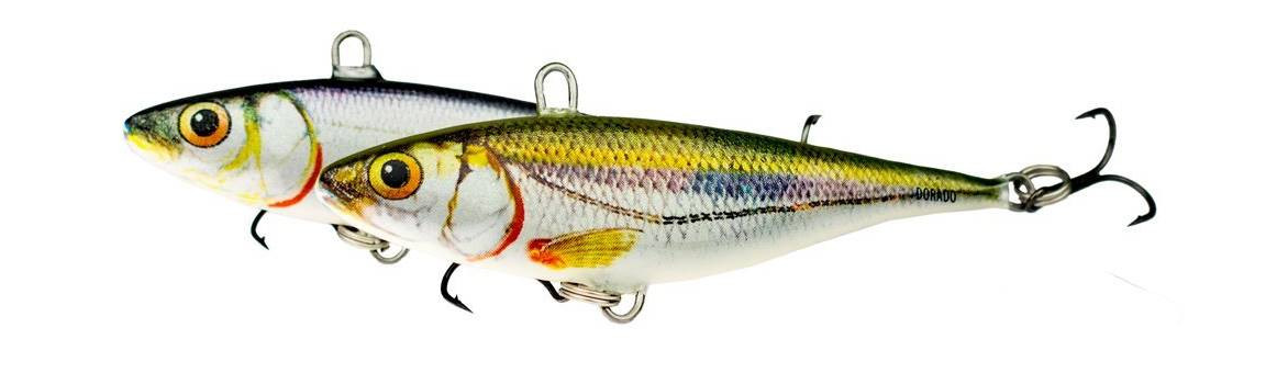 Wobler Dorado Courier Cykada