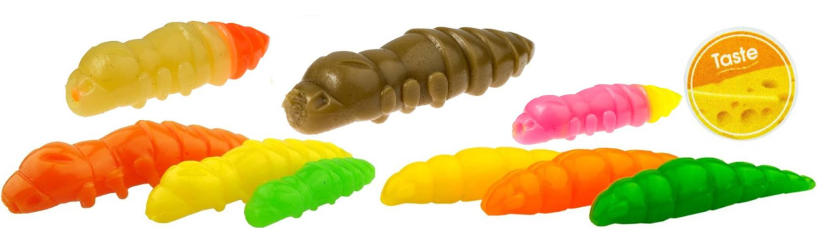 Sýráci pupa na pstruhy