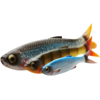 SG Craft Dying Minnow 