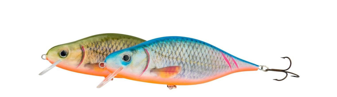 Wobler Dorado Tempter Big Mamma