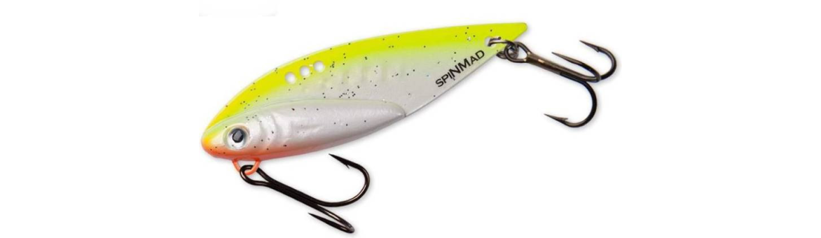 Cikáda Spinmad Hart