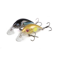 Salmo Rattlin Hornet Shallow