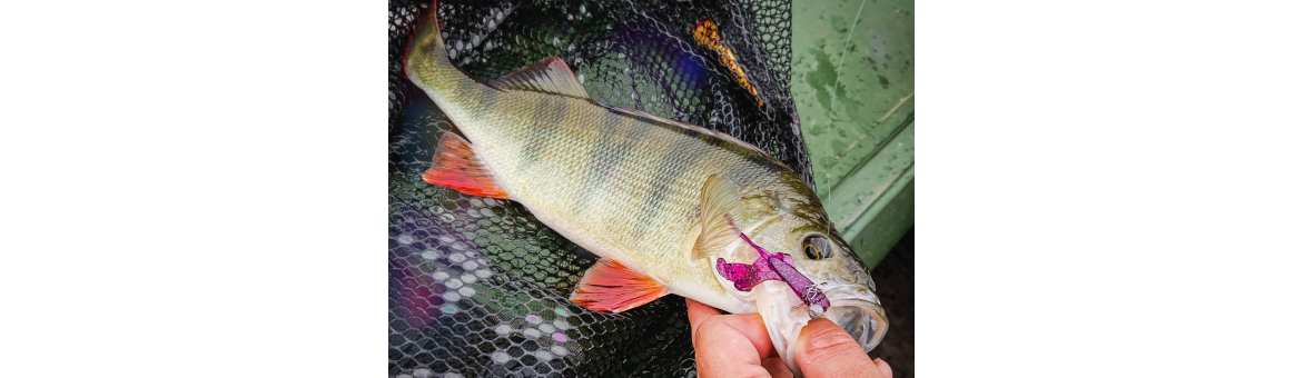 Perch Professor Fapping Craw imitace raka na okouny