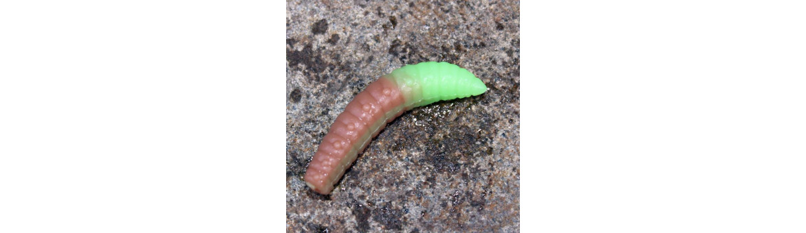 Harmony Baits Larva Grub - nástraha na pstruhy