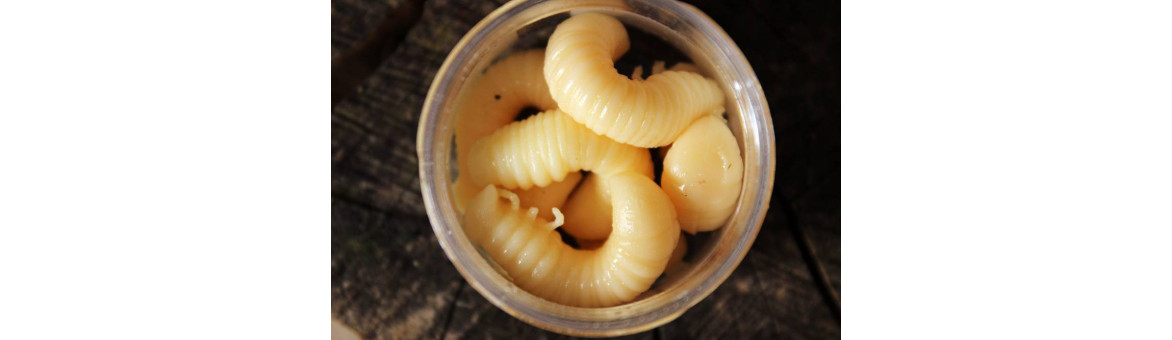 Harmony Baits Scarab - tučná ponrava na pstruhy