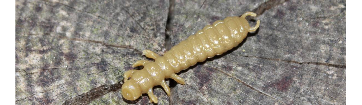 Gumová nástraha na pstruhy Harmony Baits Lux