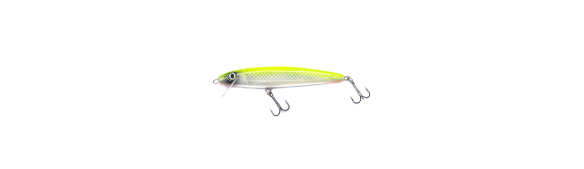 Zander Slim 10cm