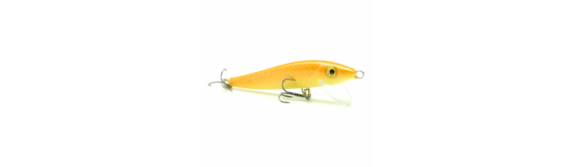 Zander 8cm