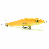 Zander 8cm