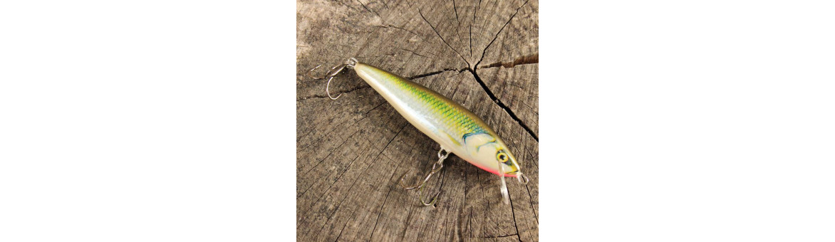 Artur Janoszka Kenart Glimmer Plus