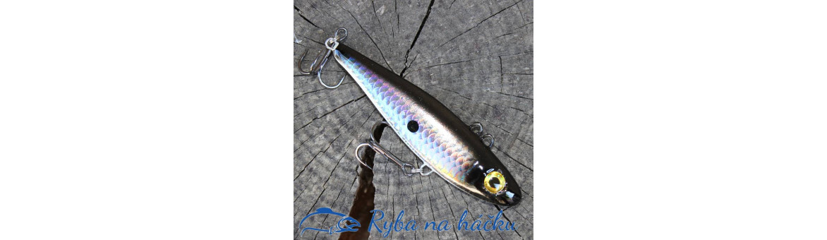 Cikády Siudak Toolia