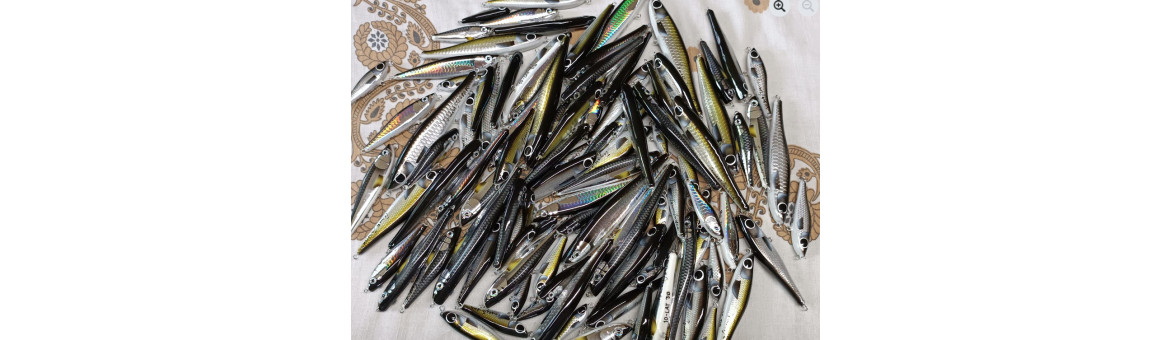 Tomasz Janeczek Woblery z Basonii