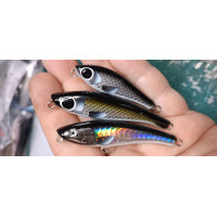 Tomasz Janeczek Woblery z Basonii