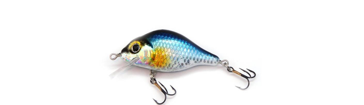 Woblery Jaxon Carpan