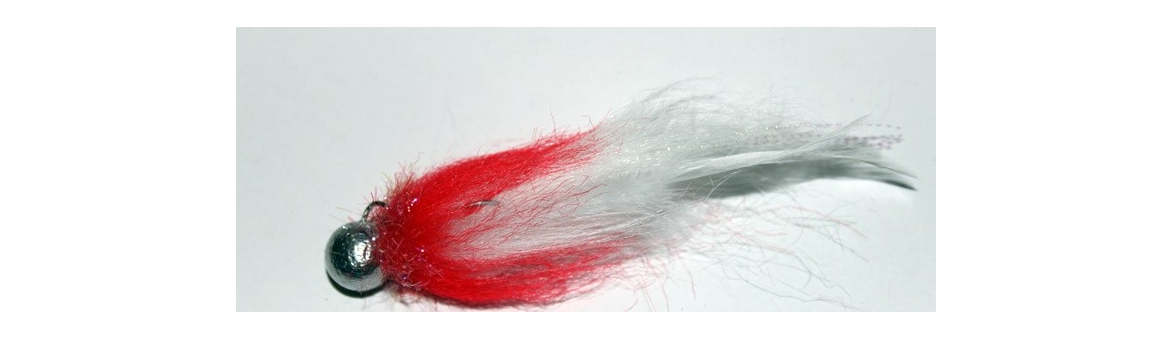 Koguty na candáty extra