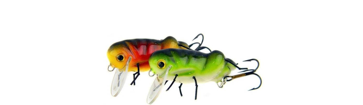 Microbait luční koník