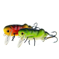 Microbait Luční koník