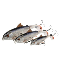 SG 3D SmashTail Minnow