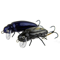 Microbait Beetle