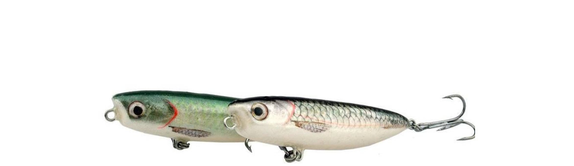 Wobler Hunter Walker