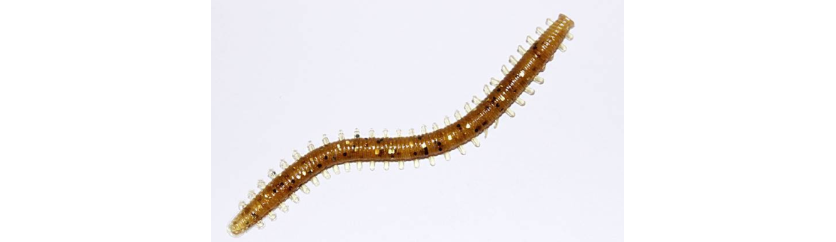 monarch Dok Sandworm