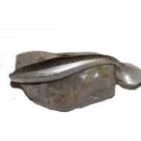 Gumy Realistic Shad