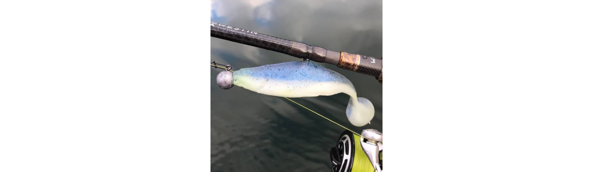 Realistic Shad Piotr Matusiak Plotice