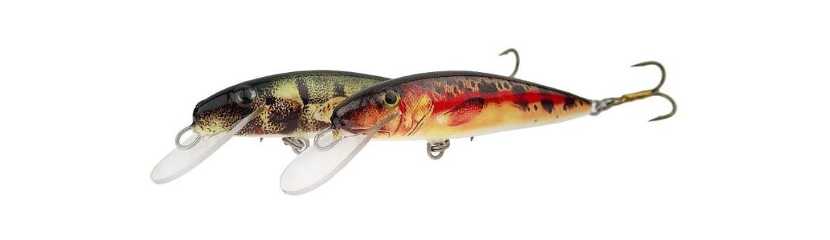 Woblery Bielik Provocator