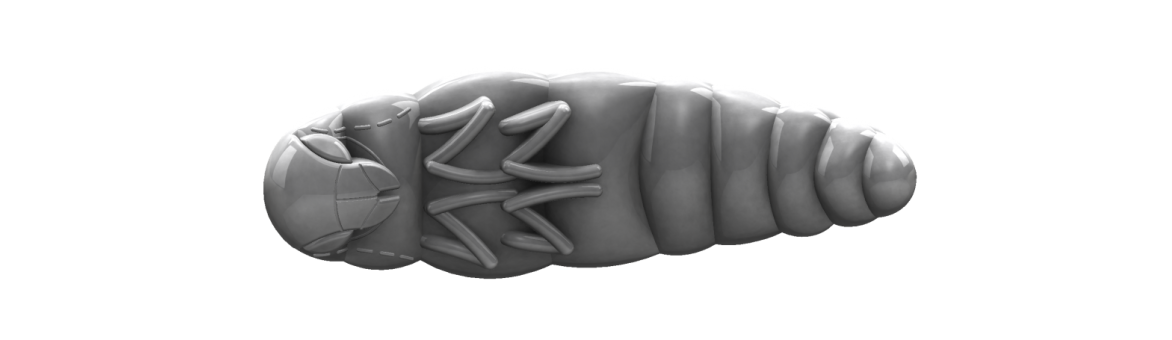 Trout area nástrahy na pstruhy Libra Lures Largo imitace ponravy