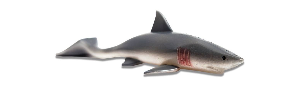 Nástrahy Kanalgratis