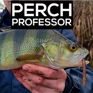 Gumové nástrahy Perch Professor